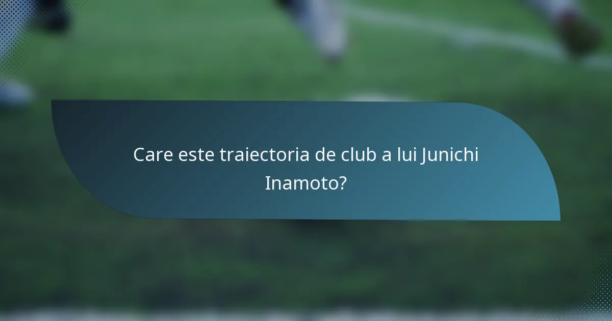 Care este traiectoria de club a lui Junichi Inamoto?