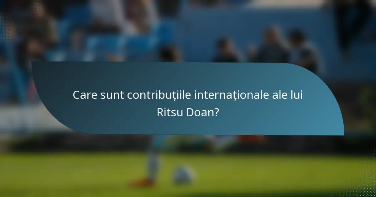 Care sunt contribuțiile internaționale ale lui Ritsu Doan?