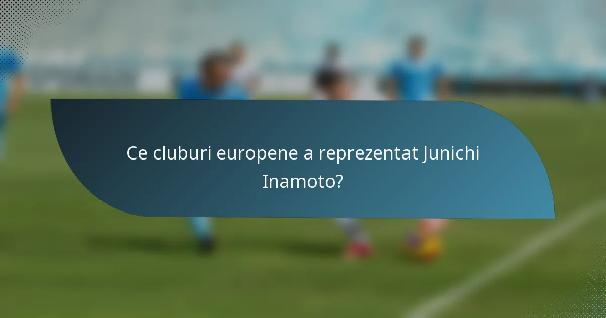 Ce cluburi europene a reprezentat Junichi Inamoto?