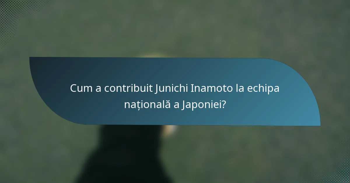 Cum a contribuit Junichi Inamoto la echipa națională a Japoniei?